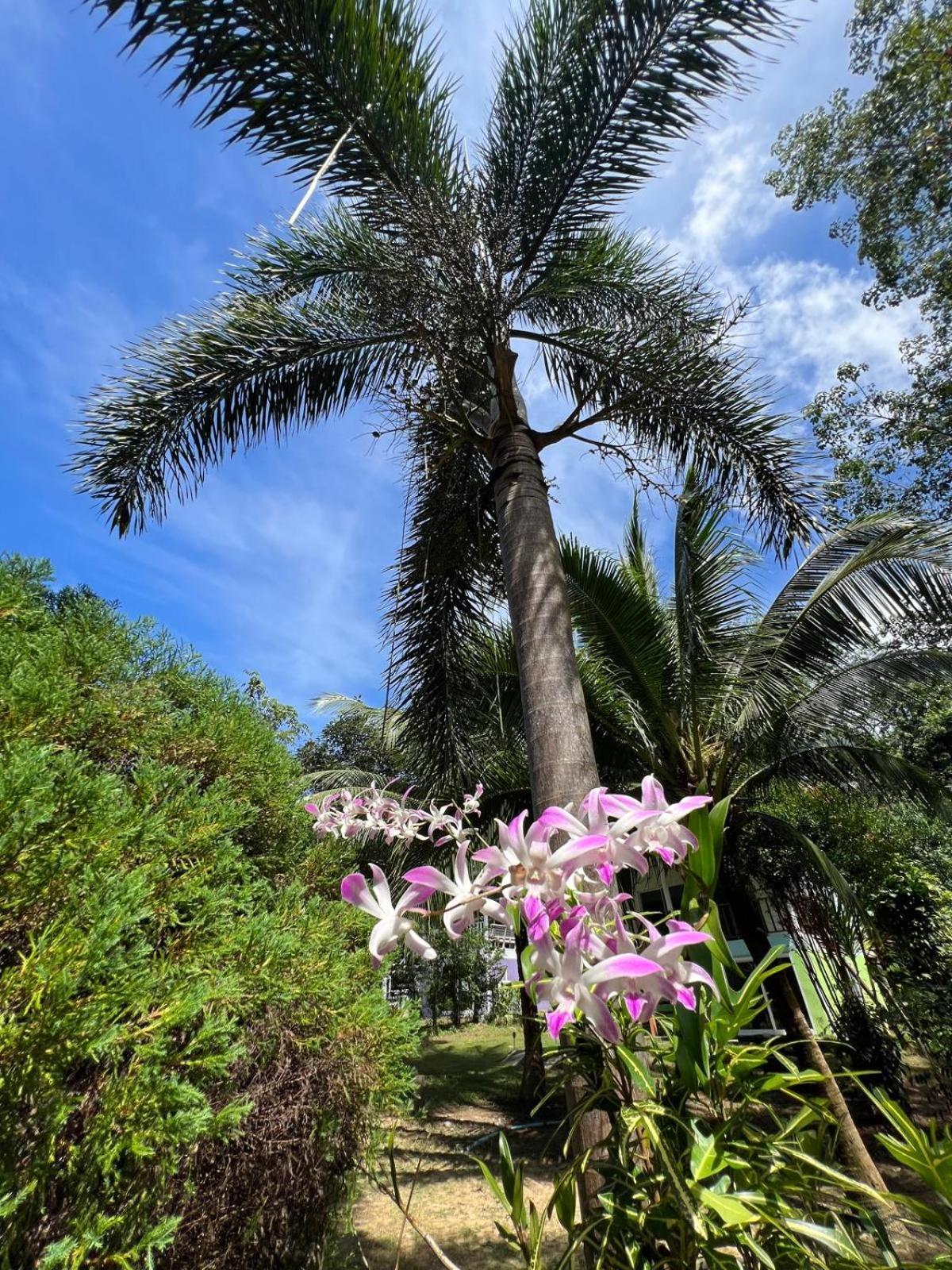 Отель Janzo House Ban Khlong Mat Экстерьер фото